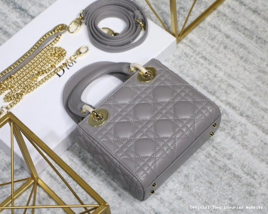 Tony Luxuries Lambskin With Lady diro Mini 0810